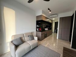 Irwell Hill Residences (D9), Apartment #478256971